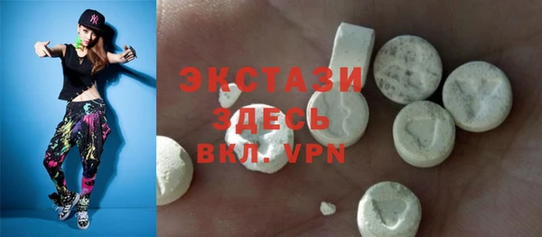 ECSTASY Бородино